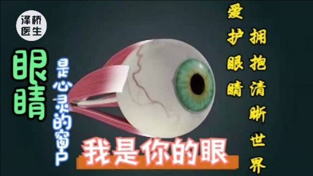 眼睛是心灵的窗户,爱护眼睛拥抱清晰的世界,走进眼睛,我是你的眼