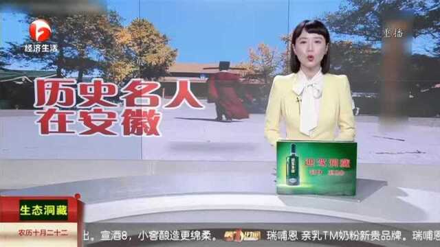 王安石:治国平天下 诗人当忧时(三)