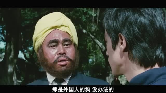 李小龙真人主演,每次看都热血沸腾