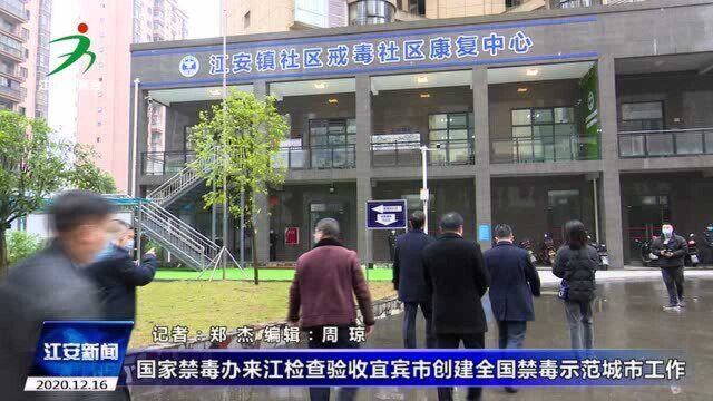 国家禁毒办来江检查验收宜宾市创建全国禁毒示范城市工作