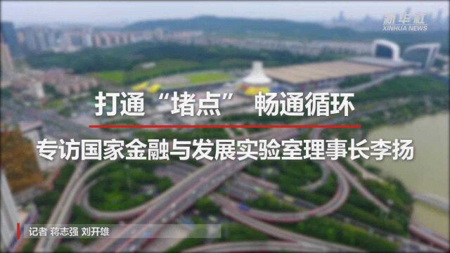 打通“堵点” 畅通循环——专访国家金融与发展实验室理事长李扬