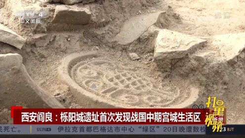 西安阎良：栎阳城遗址首次发现战国中期宫城生活区