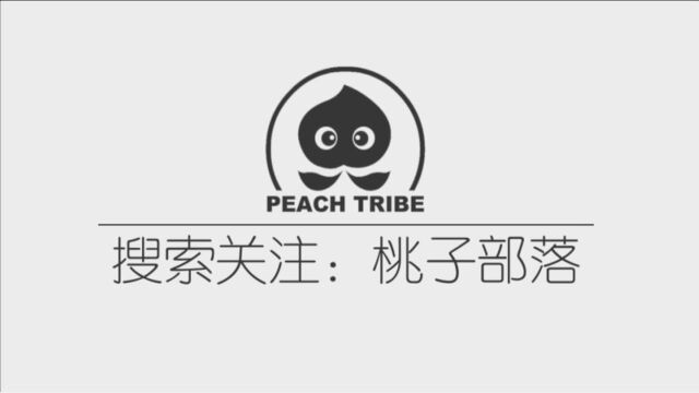 简笔画,多肉植物