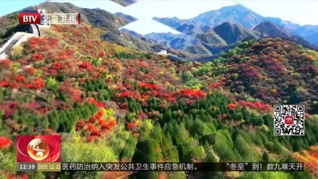 走进北京网红打卡地:丰台区 二七厂1897科创城