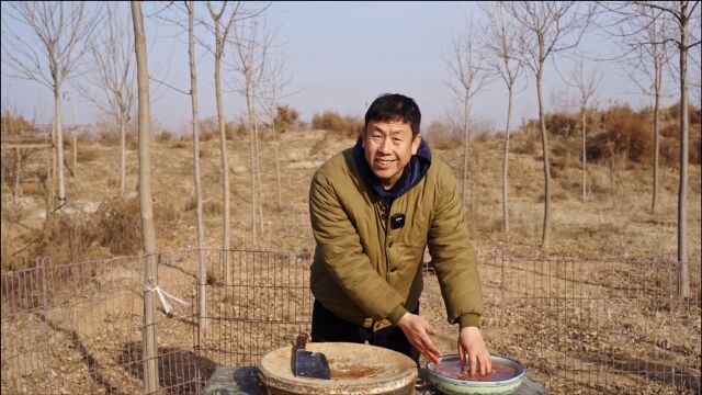 商林方方美食营养鸡肝