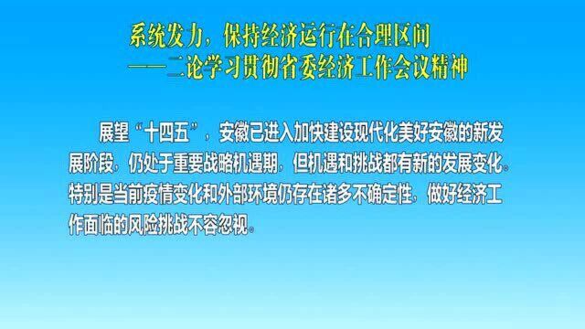 系统发力,保持经济运行在合理区间——二论学习贯彻省委经济工作会议精神