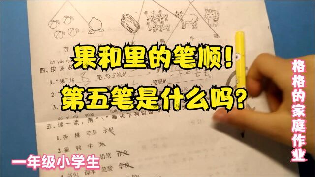 检查格格家庭作业,发现果和里的笔顺不对!你知道第五笔是什么吗