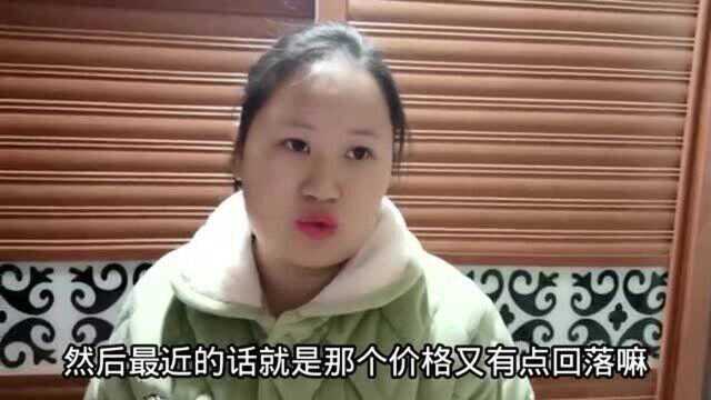 湖南媳妇逛金店,黄金价格走势有点吓人,看看今天多少钱一克?