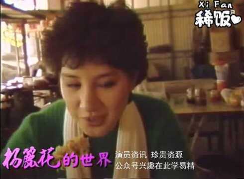 一代巨星的诞生 杨丽花返乡之路【杨丽花的世界】精彩