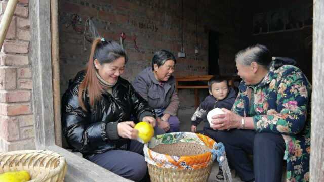 回到从小生长的老家 摘一背篼柚子在顺便聊聊家常感叹农村真好