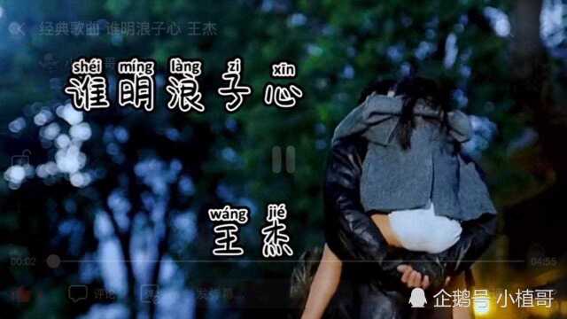 经典老歌《谁明浪子心》王杰