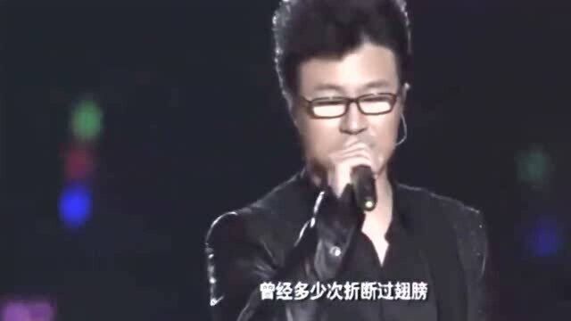 汪峰一曲《怒放的生命》,经典的旋律,令人回味无穷!