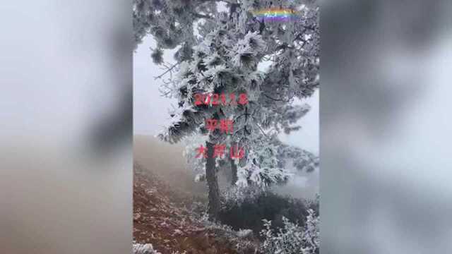 闽南第一高峰大芹山雾凇雪景