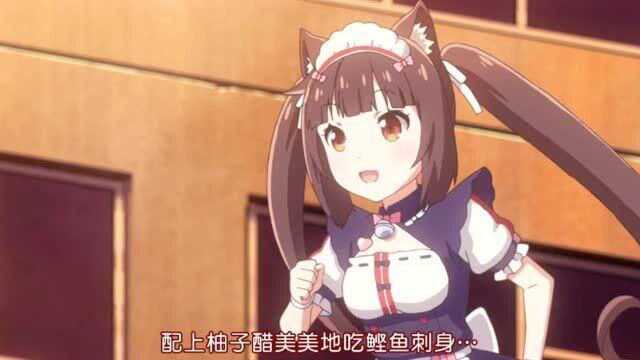 猫娘,飞檐走壁,无所不能