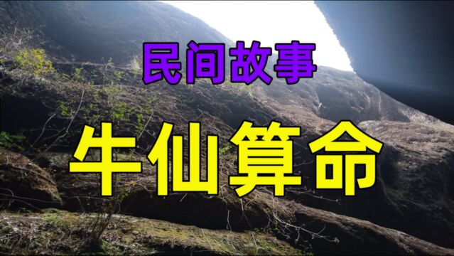 民间故事《牛仙算命》在一个不起眼的小镇里有个算命先生