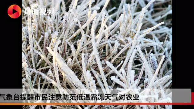 四川内江东兴区气温突破61年来历史极值