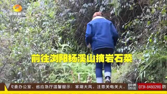 传承6代的深山采药人 19岁开始采药生涯 飞檐走壁像拍电视剧!