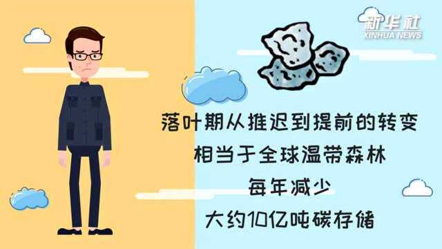 科画丨研究表明:全球变暖或致秋天提前落叶