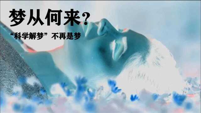 梦从何而来?科学家证实:梦境是现实生活的延续!