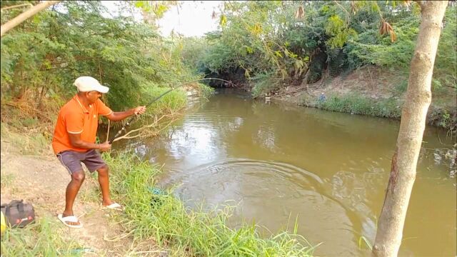 钓鱼:大塘鲺上钩了,跟它拔河