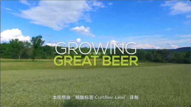 S&S Farm Brewery | “孕育伟大的啤酒”