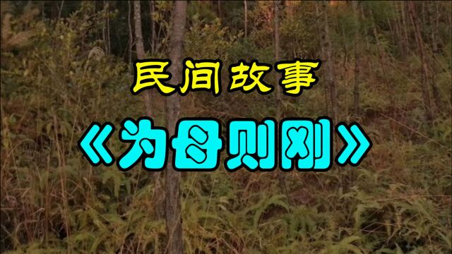 民间故事《为母则刚》清朝咸丰年间,马老板收到了不一样的钱