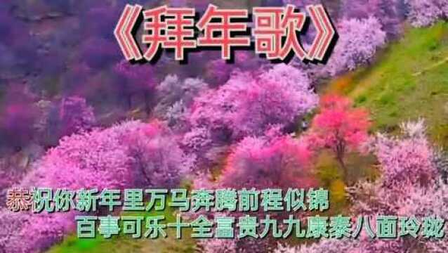 歌曲:拜年歌(祝福)