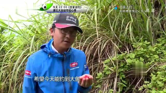 山里边的水库,附近还有“野草莓”,钓鱼吃几个也不错