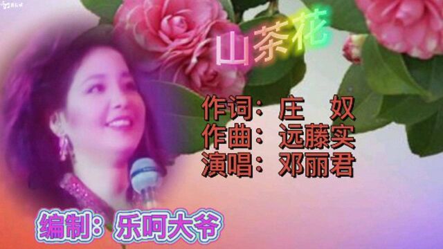 羞答答邓丽君唱歌曲《山茶花》