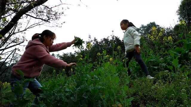 桃子姐带月月摘完野菜,回家做一盘雪花酥,松脆酥软,真美味!