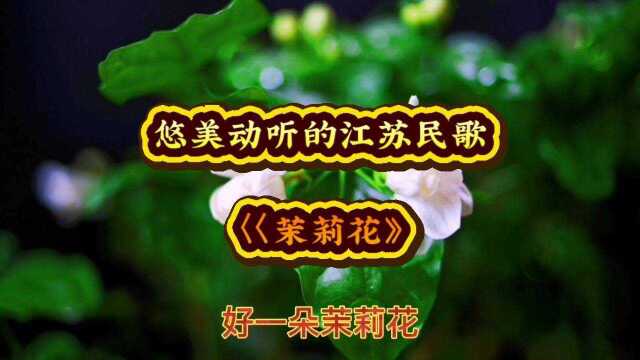 悠美动听的江苏民歌《茉莉花》