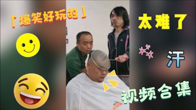 爆笑视频合集:去理发店剪个头发都不得安宁,笑得我肚子疼