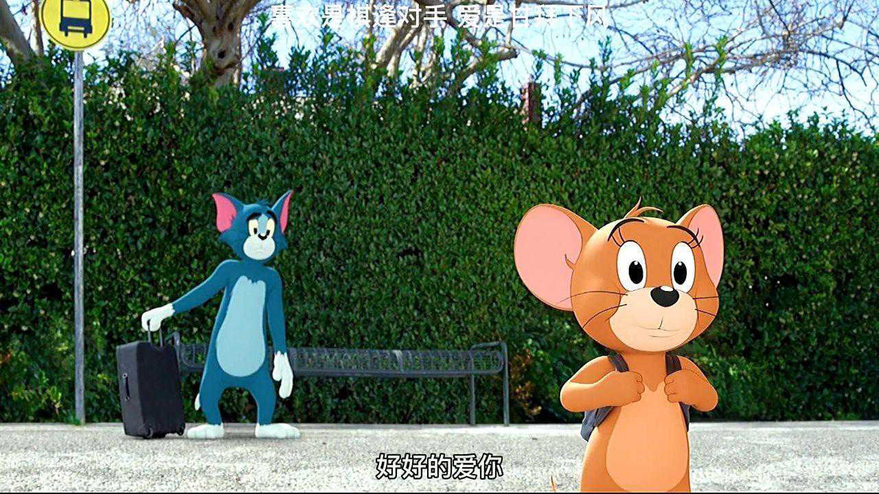 喜欢是棋逢对手爱是甘拜下风猫和老鼠治愈系