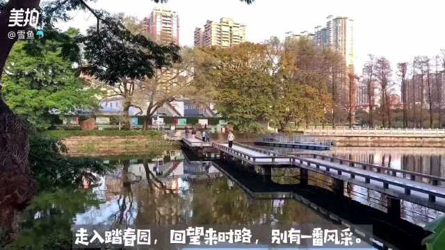 晨光下的东山湖公园,寻常却又不同寻常.