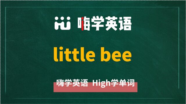 英语单词教学 英语短语little bee的翻译、读音、相关词、使用方法讲解