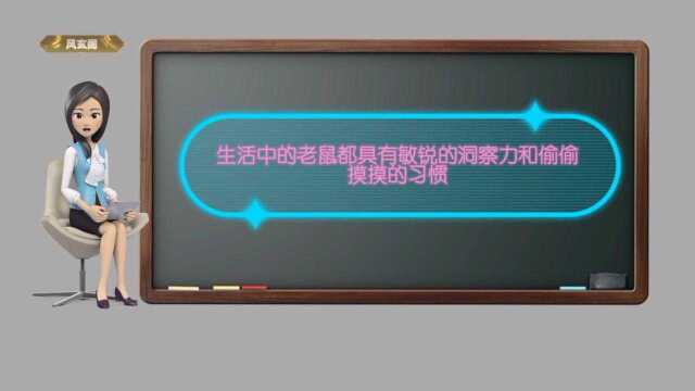 生肖鼠的性格特点是什么?