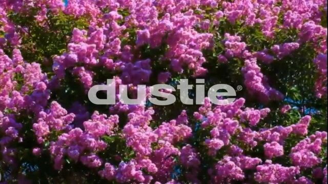 Dustie空气净化器,创造健康生活!