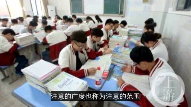 中小学心理“注意的品质及其影响因素”有哪些?