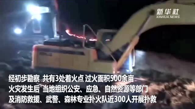 宁夏固原荒山起火 扑火过程中2人死亡6人受伤