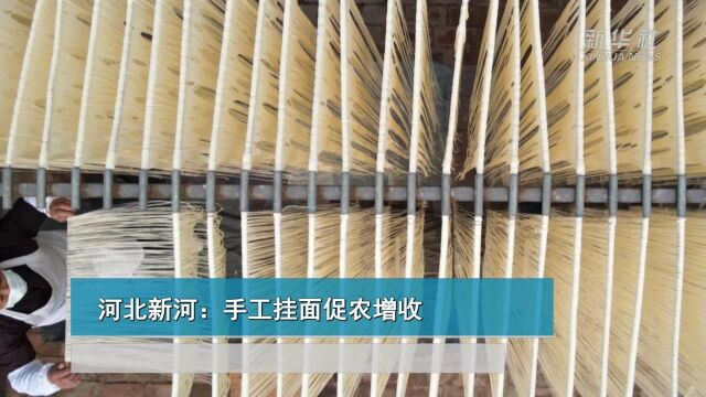 河北新河:手工挂面促农增收