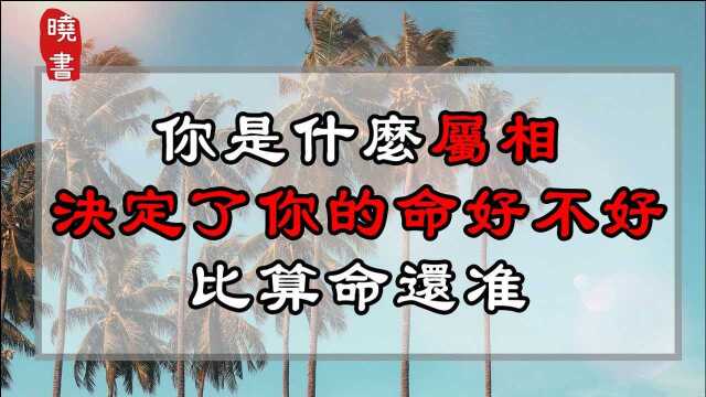 你是什么属相,决定了你的命好不好,比算命还准