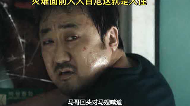 #鹅叔放映厅征稿大赛# 釜山行