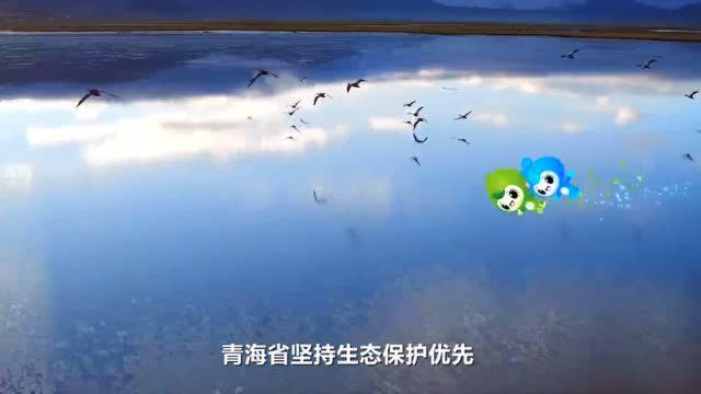 人民网青海频道