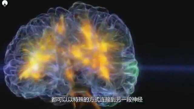 人类的大脑多达11个维度?那么思维究竟受什么控制?