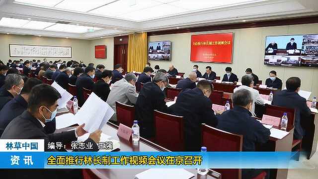 国家林草局在京召开“全面推行林长制”工作视频会议