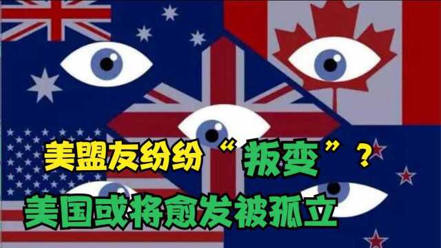 美盟友纷纷“叛变”?五眼联盟变“四眼”,中国三大战术奏效