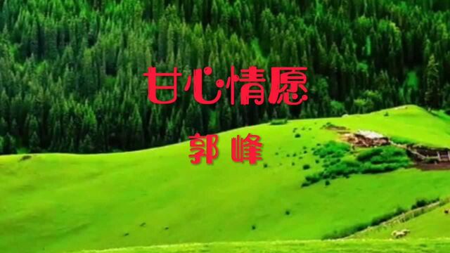 歌曲《甘心情愿》郭峰