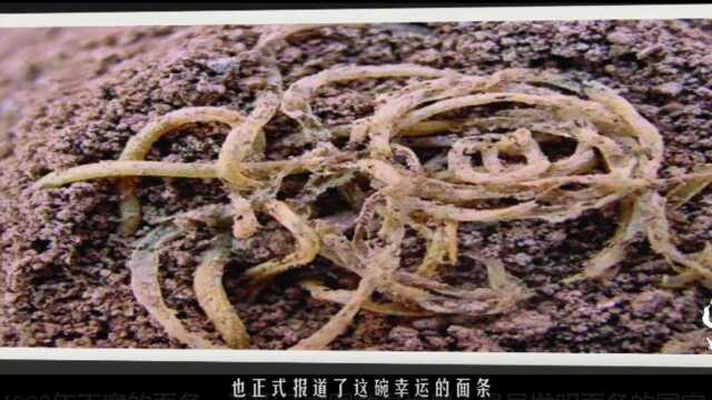 这碗4000年不腐的面条,证明了中国才是世界上最早发明面条的国家