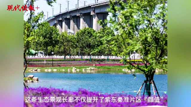 家门口的生态画廊!南京明外郭秦淮新河百里风光带又有新打卡点