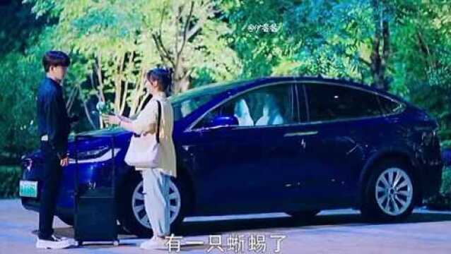 乌鸦小姐与蜥蜴先生